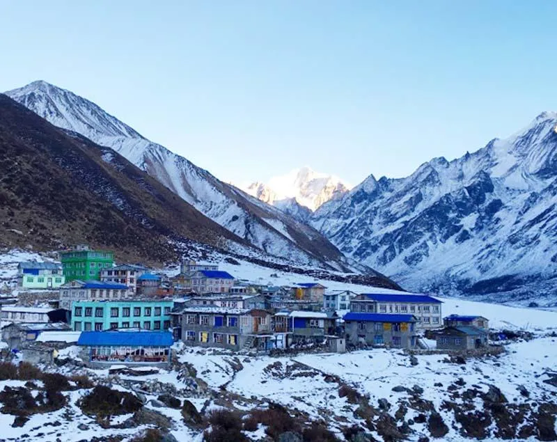 Kyanjin village in Langtang valley with snow peaks behind